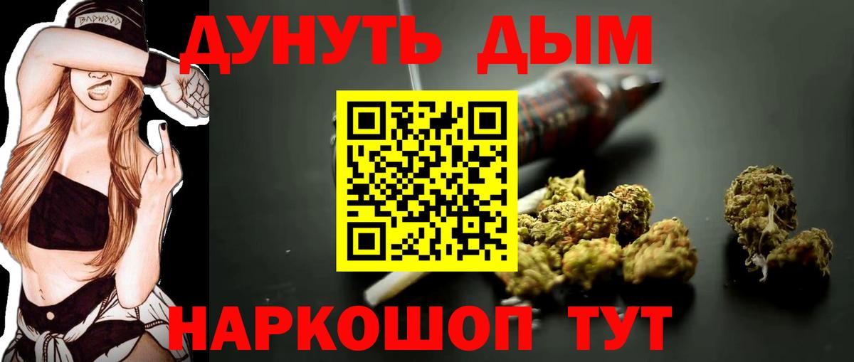 Конопля сатива Людиново